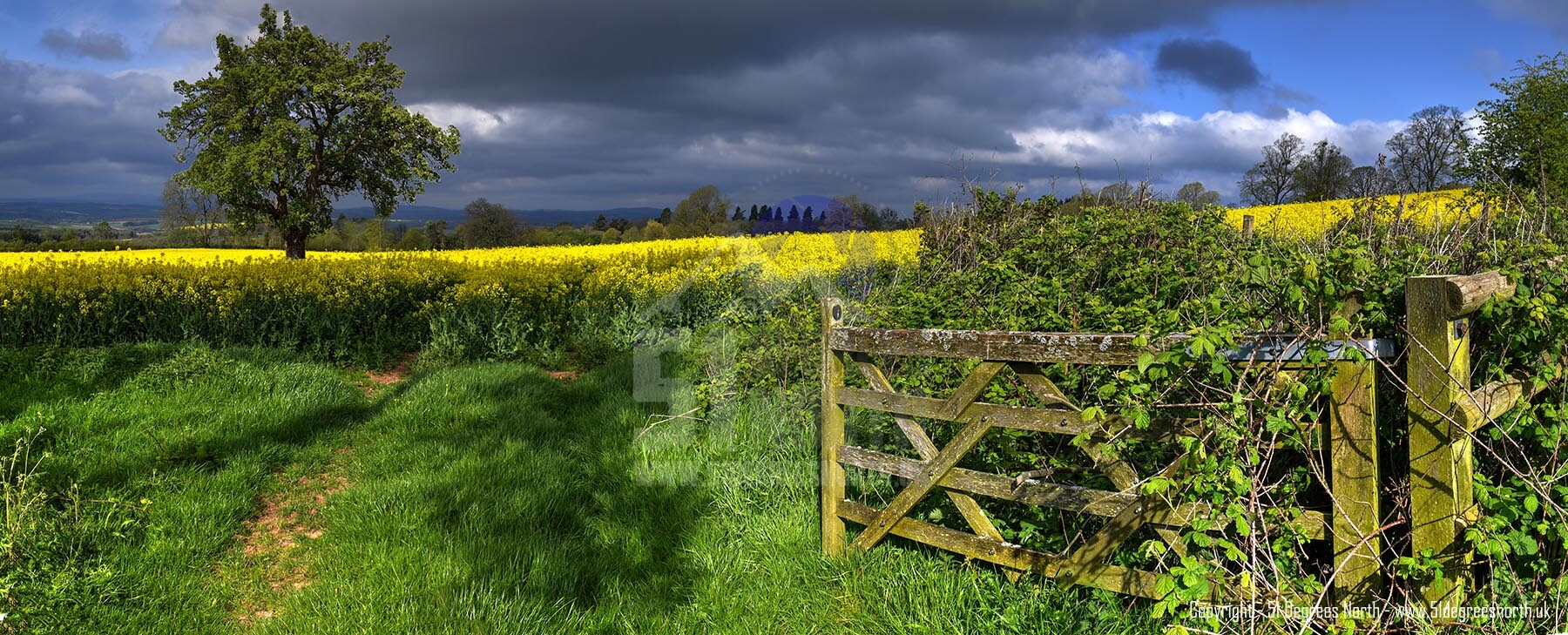 The Cotswolds, Gloucestershire